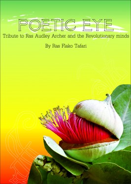 wisemind_publications_-_poetic_eye_-_front_cover